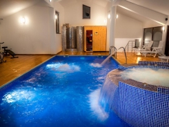 Piscina cu jacuzzi incorporat, sauna
