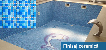 constructie piscina cluj - piscina preaplin